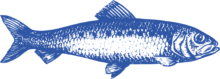 OV27_MIM_Sardine_Blue.png